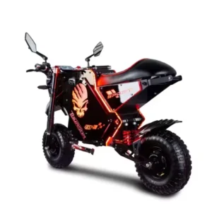 M10 72V 50Ah 10000W Dual Drive Electric Motorbike