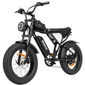 RIDSTAR Q20 MINI 1500W 48V 15Ah 40km/h >60km 20" Mountain Ebike