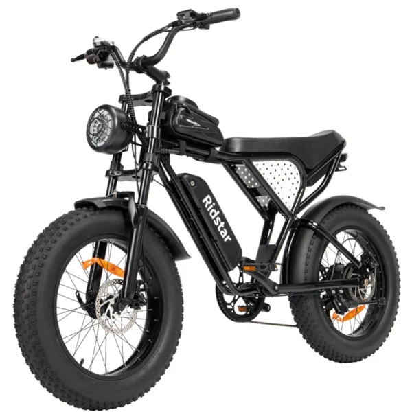 RIDSTAR Q20 MINI 1500W 48V 15Ah 40km/h >60km 20" Mountain Ebike