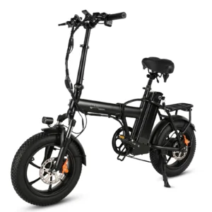 CMACEWHEEL AC16 48V/18Ah Foldable Electric Bicycle