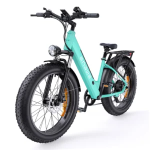 ENGWE E26 ST 250W 48V 16Ah 60km 26" Electric Bicycle
