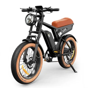 isinwheel R6 1000W 48V 13Ah 50KM/H 31-60km 20" Electric Bicycle