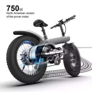 WOYU Q3 250W 48V 13Ah 60km 20" Electric Bicycle