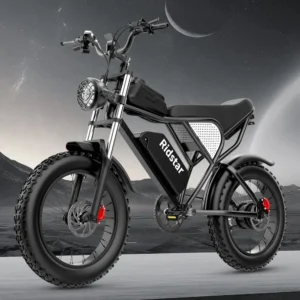 RIDSTAR Q20pro 2000W 52V 40Ah 30-50km/h >60km 20" Mountain E-bike