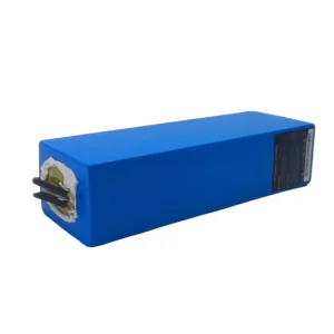 Electric bike Battery 36V 10.4AH 500W Powerful Lithium Cells 48V 13AH 1000W Battery FOR eBike