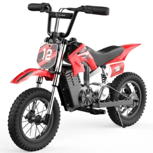 isinwheel A12 350W 12" 25km/h Dirt Bike for Kids