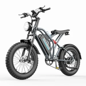EKXBIKE T1 1000W 48V 20Ah 50km/h 100km 20" Electric Motorcycle