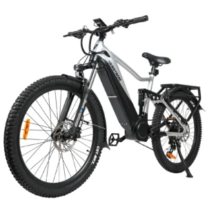 [ON SALE] Accolmile Electric Mountain Bike Powerful eMTB 48V 750W (Peak 1200W) Bafang Mid Motor 20Ah Battery Max Speed 50KM/H