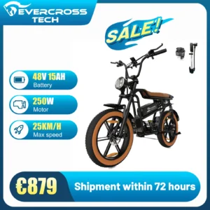 EVERCROSS EK30 250W 48V 15Ah 25km/h 100km 20" Standard Electric Bike