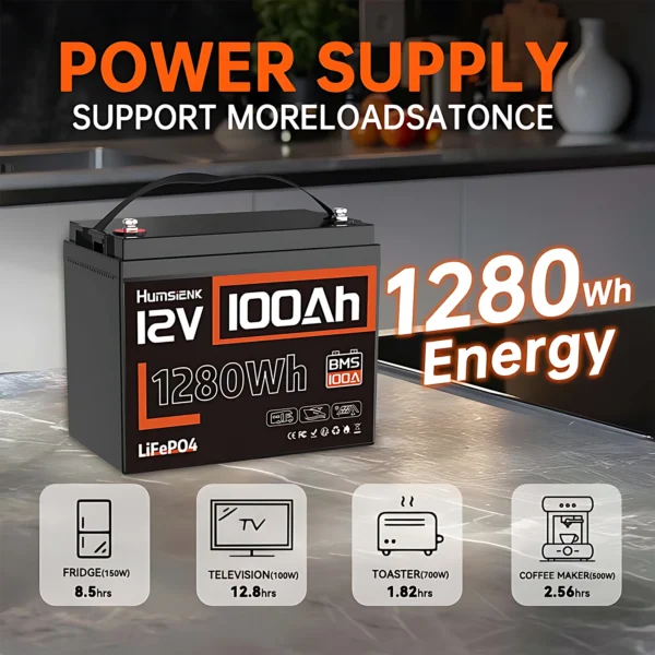 Humsienk 100Ah 12V LiFePO4 Battery – Bild 2