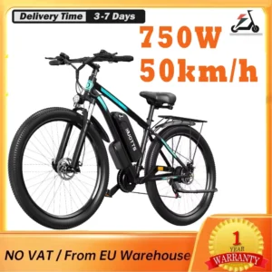 DUOTTS C29 Adult Electric Bike 50km/h 750W Mountain Bikes With Rear Rack 48V 15Ah Battery Electric Road Bikes Electric Bicycle