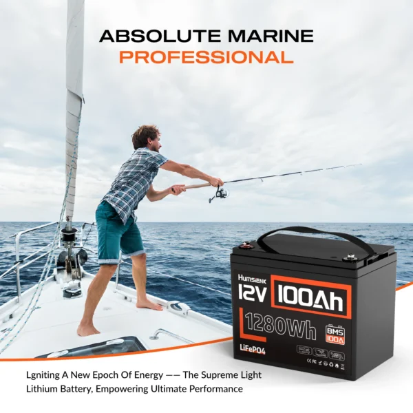 Humsienk 100Ah 12V LiFePO4 Battery – Bild 5
