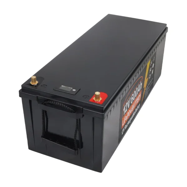USAMR 600Ah 12V LiFePO4 Battery - Image 2