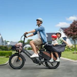 ENGWE LE20 250W 48V 38.4Ah 25km/h 350km 20" Luxury Electric Bicycle