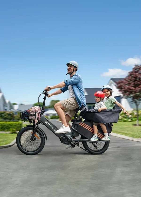 ENGWE LE20 250W 48V 38.4Ah 25km/h 350km 20" Luxury Electric Bicycle