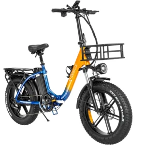 Ridstar MN20 1000W 48V 20Ah 30-50km/h >60km 20" Electric Bike